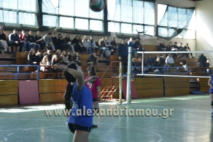 volley_1o-alexandreias-melikis2018 (11)